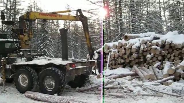 Nissan Diesel UZA 520 PPL. Ходка за лесом