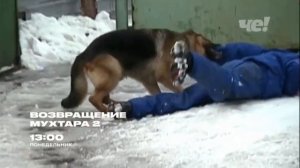 возвращение Мухтара 2 на канале че анонс 02 09 2022