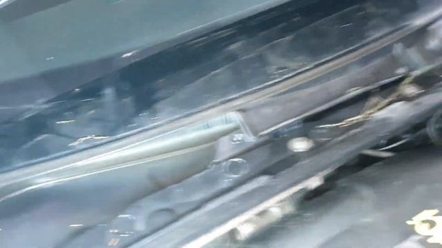 clio 3 akwarium смотреть онлайн