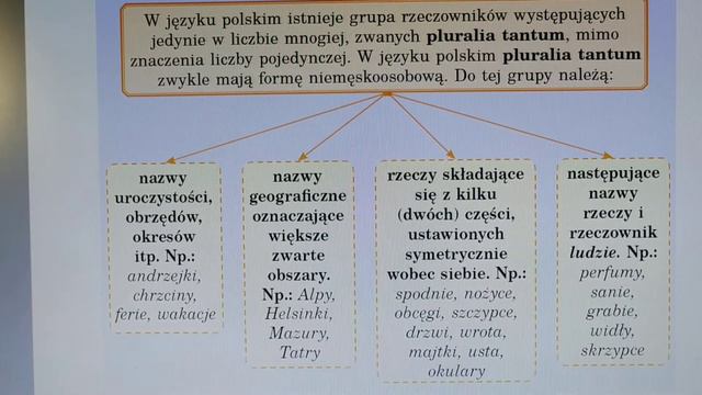 Singularia Tantum I Pluralia Tantum W Języku Polskim