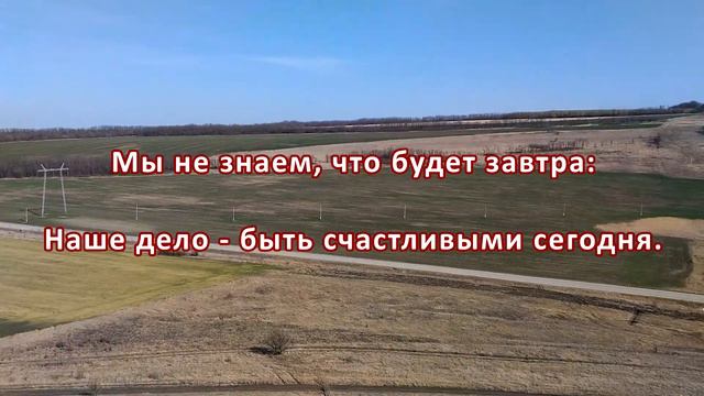 Зарисовка Альфа царь горы, воспоминание как это было смотреть онлайн