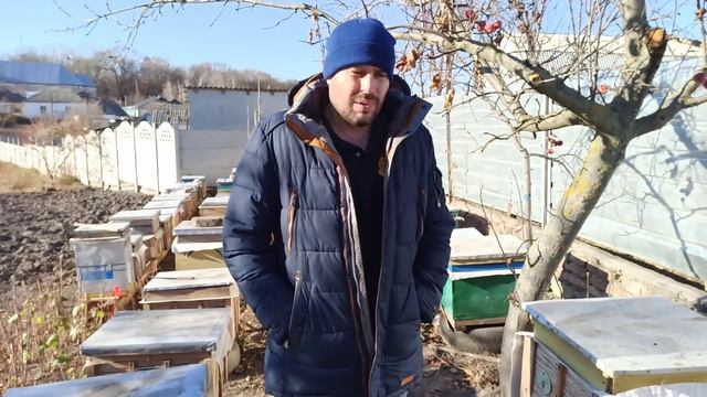 Сетчатое дно улья за и против. Плюса и минуса ульев из сетчатыми доньями смотреть онлайн