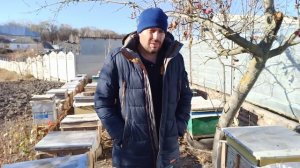 Сетчатое дно улья за и против. Плюса и минуса ульев из сетчатыми доньями