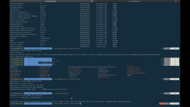Introducing WSO2 Updates 2.0, WSO2 Webinar смотреть онлайн