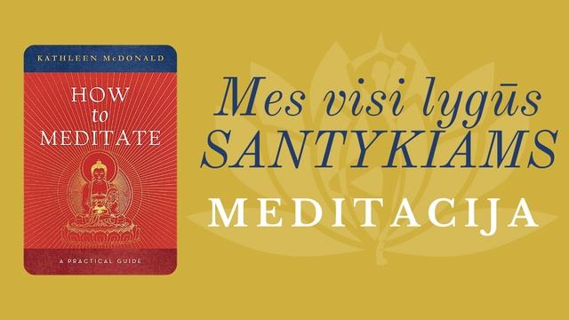 Mes visi lygūs. Meditacija santykiams su kitais. смотреть онлайн