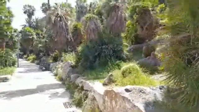 Бутылочные Деревья И Прочие Красоты. смотреть онлайн