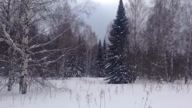 Красоты Сибири!часть 3 смотреть онлайн