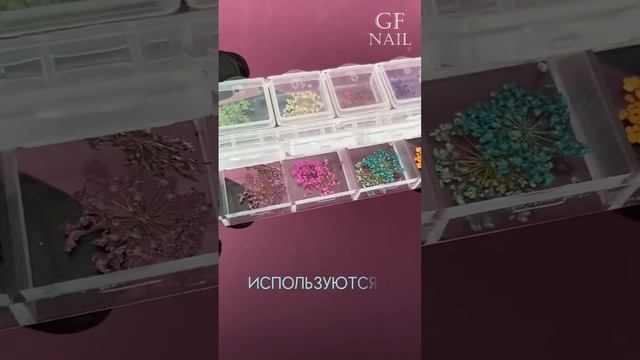 сухоцветы для ногтей смотреть онлайн