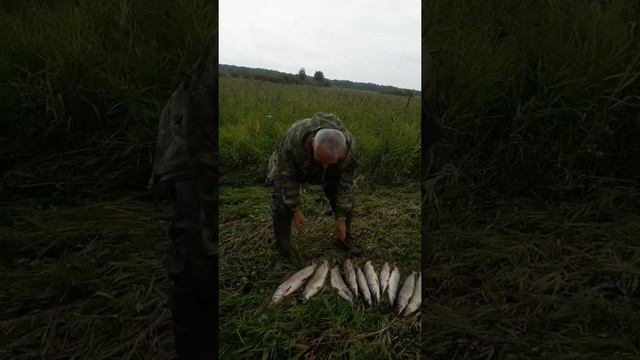 Тюмень порадовала. смотреть онлайн