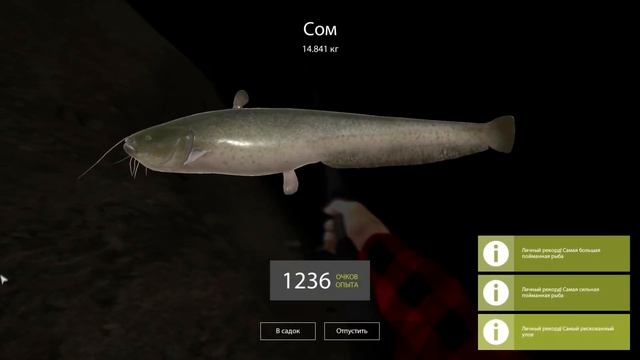 Русская Рыбалка 4 (РР4). СОМ смотреть онлайн