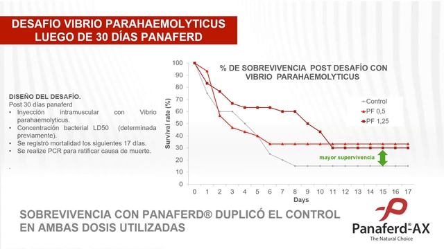 Webinar presented by Panaferd "Source of natural carotenoids, for color and health in shrimp." смотреть онлайн