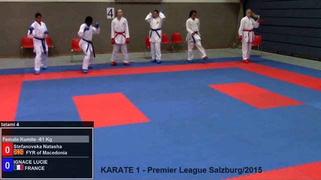 Tatami 4 - Karate1 Salzburg 2015 - Day 2 смотреть онлайн