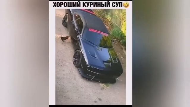 Петух расцорапал машину Мустанг смотреть онлайн