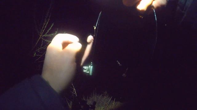 РЫБАЛКА на НАЛИМА! Cтавлю ДОНКИ и ЗАКИДУШКИ на не большой реке и жду поклевок. РЫБАЛКА 13.05.2022 смотреть онлайн