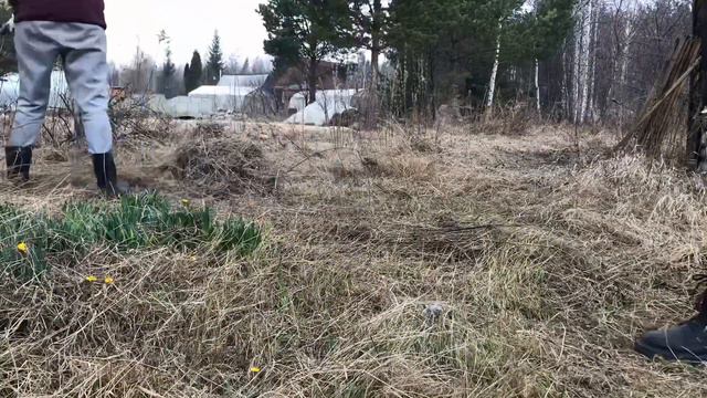 1 МАЯ / Первая поездка ретривера на дачу смотреть онлайн