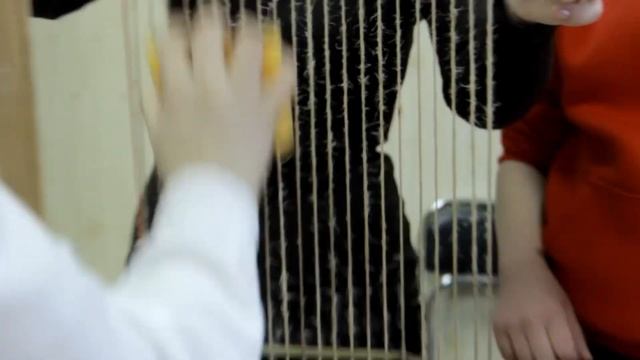 АДЫГЭ АРДЖЭНХЭР смотреть онлайн