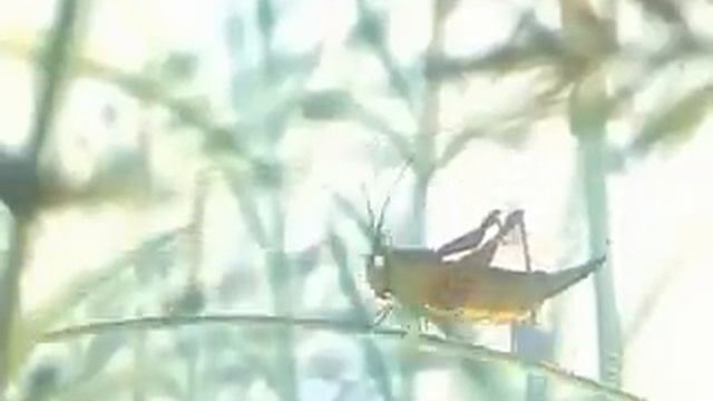 Только жениться собрался ! = смотреть онлайн