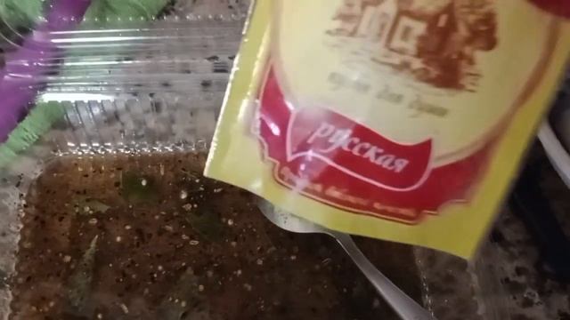 Анталья. Маринованная скумбрия. Рецепт супер ? смотреть онлайн