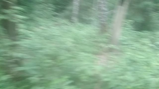 VID_20230705_090625.mp4 смотреть онлайн
