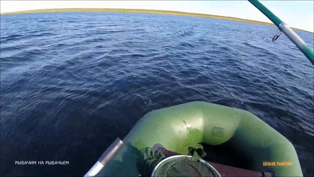 Добрались до гольца в тундре | Рыбалка на Кольском смотреть онлайн