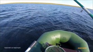 Добрались до гольца в тундре | Рыбалка на Кольском
