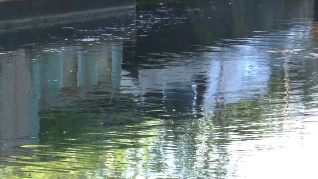 Panasonic HC - X900M outdoor test 1 смотреть онлайн