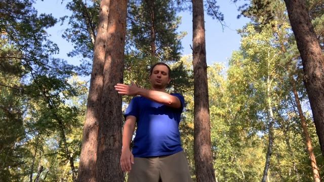 13. Братец Первуша = Проточеловек, Пуруша, Космический человек = Поле = Всеприсутствие, Всезнание