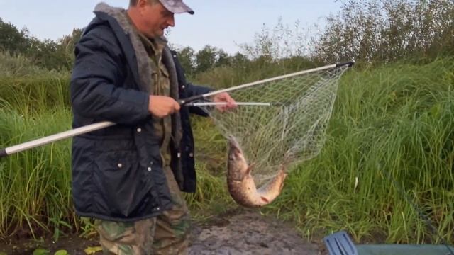 Зубастый монстр! Попалась щука на кружок! смотреть онлайн