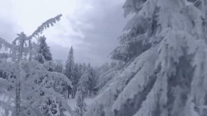 Л Бетховен Соната №8 Патетическая 2 часть  Beethoven Sonata No. 8 Pathetic 2nd movement