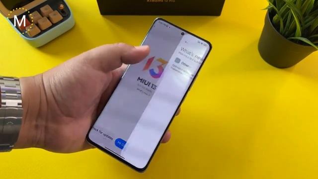Biggest issue On Xiaomi 12 Pro is Flickering смотреть онлайн