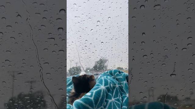 Молоты вам в ленту смотреть онлайн