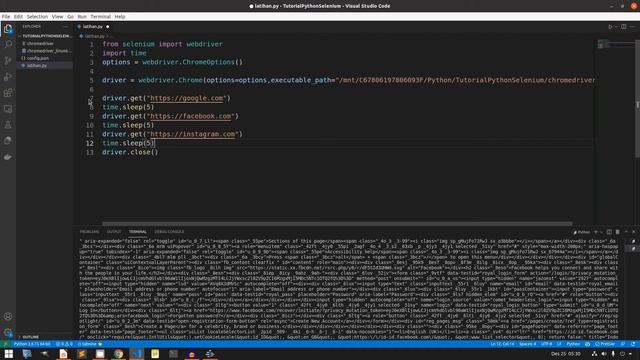 Bikin Bot Web Automation Dengan Python Selenium | Delay Pause Jeda Tiap Proses смотреть онлайн