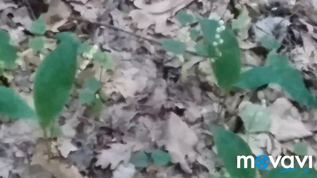 Привет народ пожалуиста не праходите мимо моего канала может и мой канал каму небудь понравится. смотреть онлайн