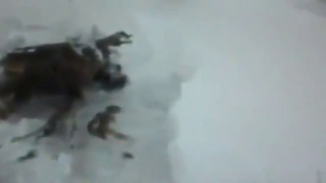 Alien In Siberia смотреть онлайн