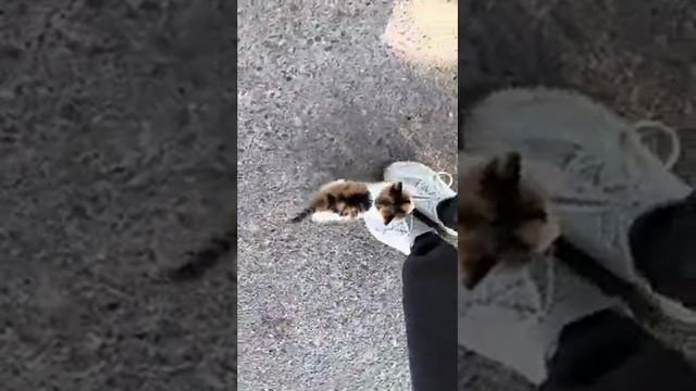 Домой смотреть онлайн