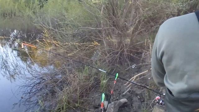 Рыбалка на сома три дня подряд в мае! смотреть онлайн