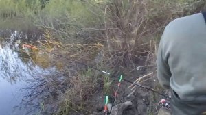 Рыбалка на сома три дня подряд в мае!