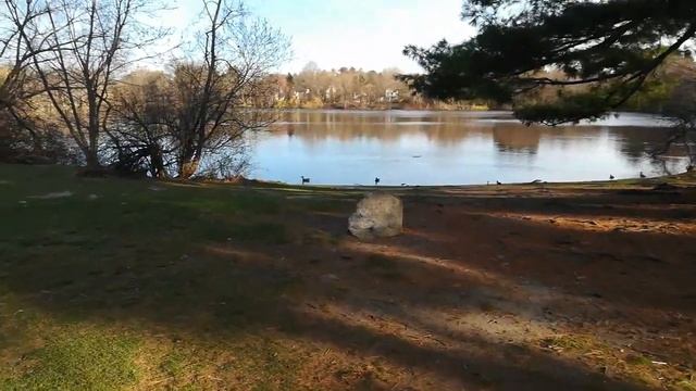 США. Обзор окрестностей. Делаем первый обзор окрестностей города в США, где мы живем смотреть онлайн