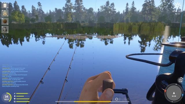 Рыбалка с Ребенком