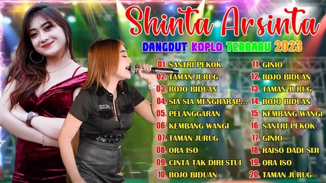 SHINTA ARSINTA FULL ALBUM TERBARU - SANTRI PEKOK - BOJO BIDUAN - NEMEN ? DANGDUT KOPLO TERBARU 2023 смотреть онлайн