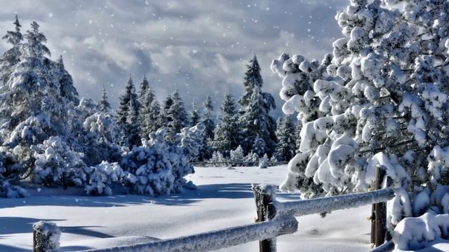 Релакс с "Шаманом" варганы В.Стрельникова смотреть онлайн