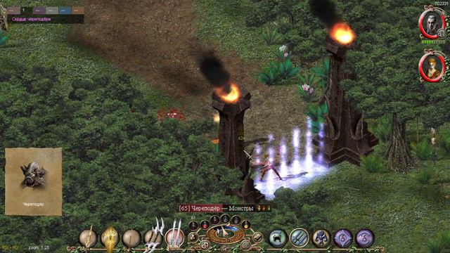 SACRED NL - Прохождение за темного эльфа №39 - Ниндзя нук-нуки смотреть онлайн