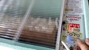 Обзор инкубатора БЛИЦ Матрица ДЕЛИ Цифровой 72 яйца#инкубатор#обзоринкубатора#инкубаторМатрицаДели