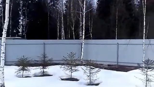 Дом-баня на участке 10 соток в д.Анрейково Лесное смотреть онлайн