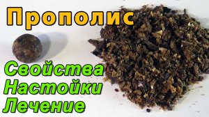 Прополис. Настойка прополиса. Свойства прополиса и лечение прополисом в быту