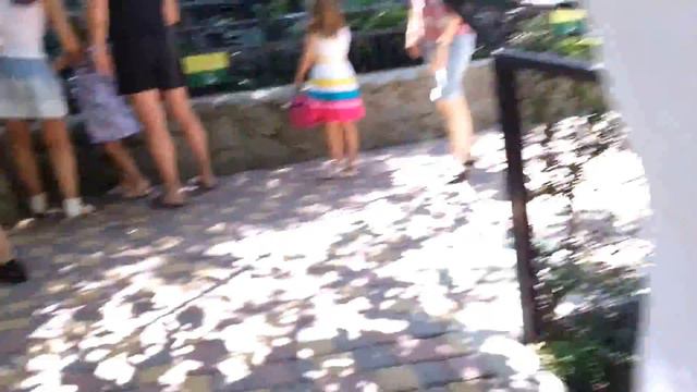 Ялтинский зоопарк. Шинпанзе смотреть онлайн