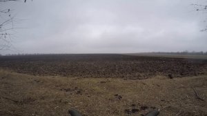 Охота на зайца Краснодарский край Коневской район