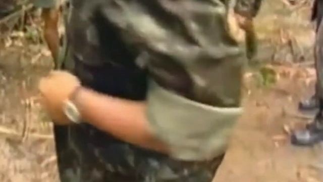 Атака ягуара - Лучшие атаки ягуара - ягуар охота на аллигатора