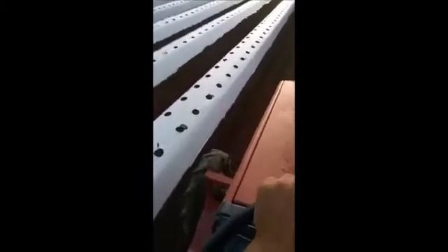 Идеальные грядообразователь для клубники.идеальные грядки для клубники. смотреть онлайн