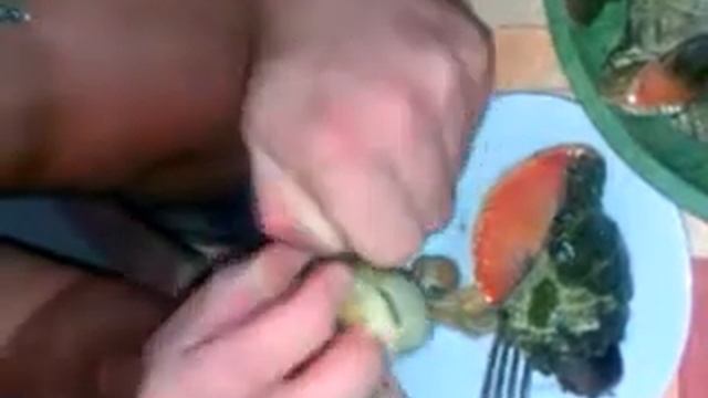 Поедание рапанов смотреть онлайн